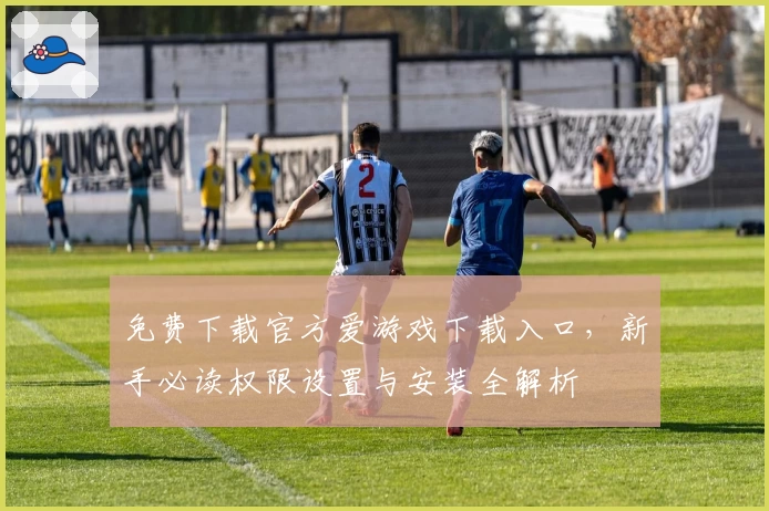 免费下载官方爱游戏下载入口，新手必读权限设置与安装全解析